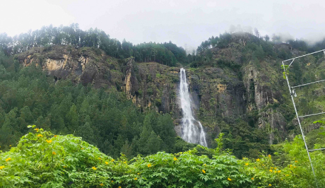 gallery grid image