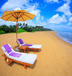 gallery grid image